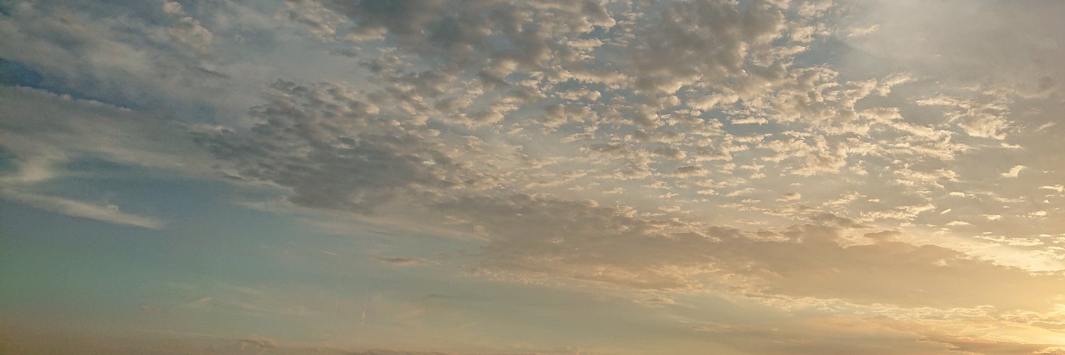 chocoraDD's profile banner image