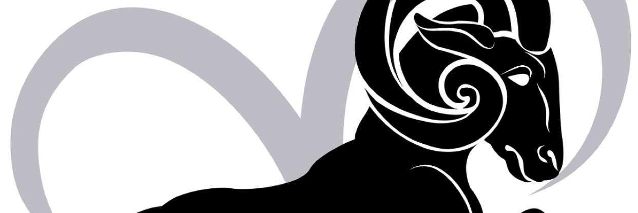 shortNOTshallow's profile banner image