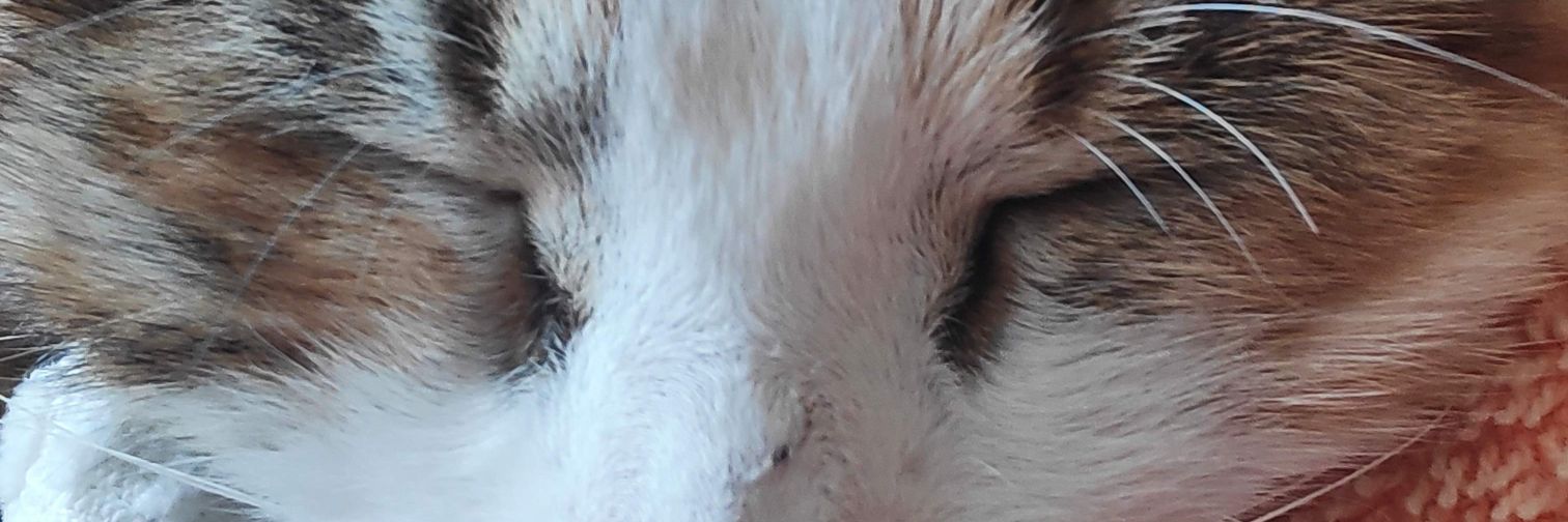 Dumahrah's profile banner image
