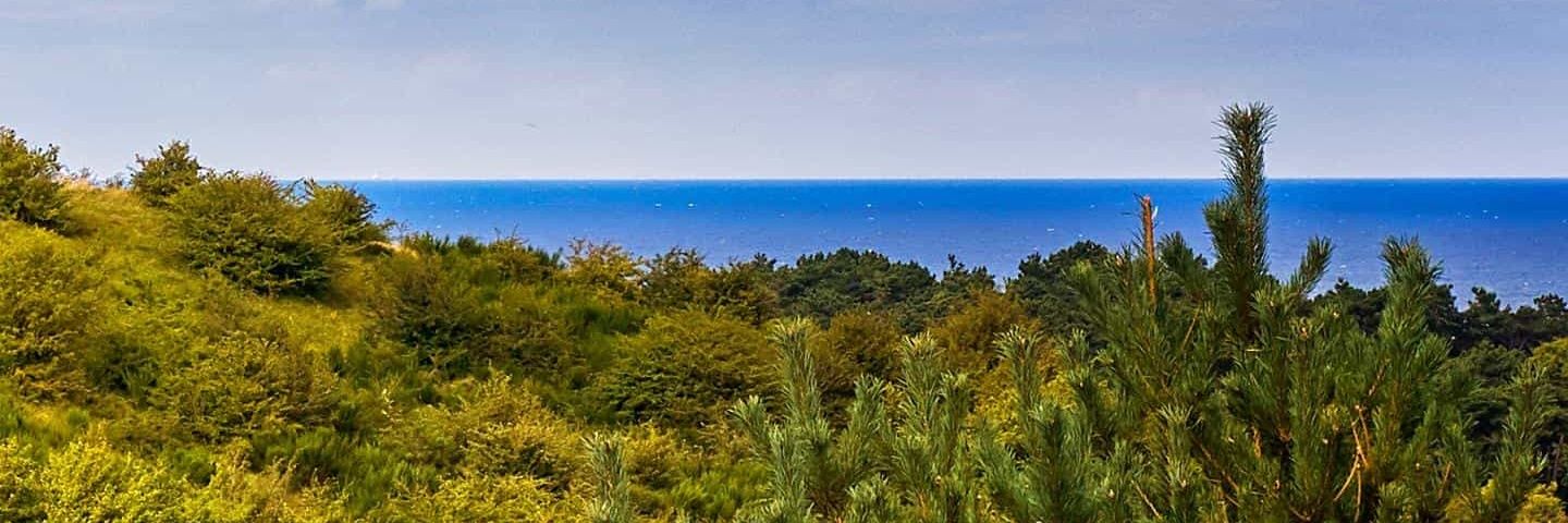 Marcelo Guerra banner