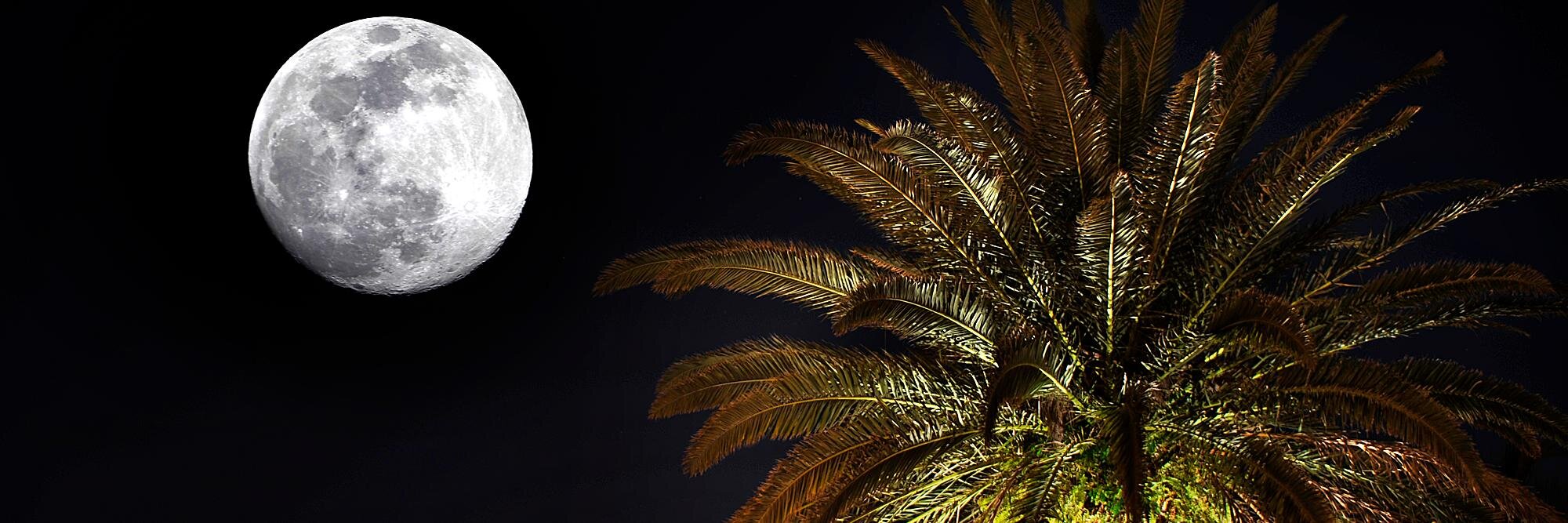 DonnaGehrke's profile banner image