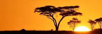 besijoe's profile banner image