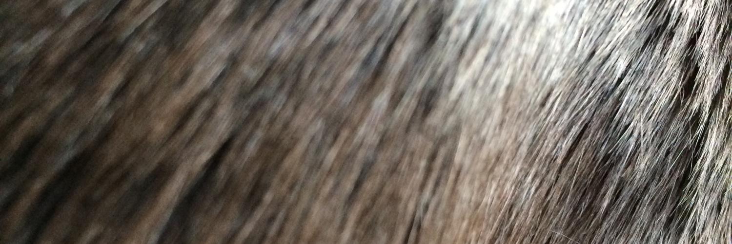 Wreakesjones's profile banner image