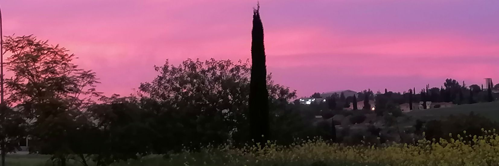 RduvalH's profile banner image