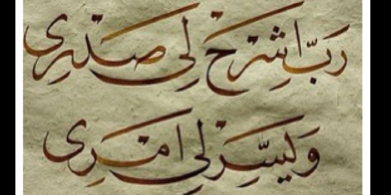 حامد شبكوه banner