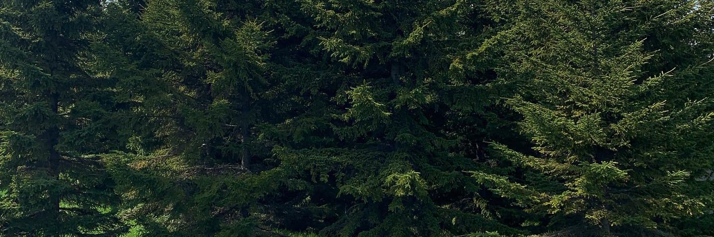 bbbbjam's profile banner image