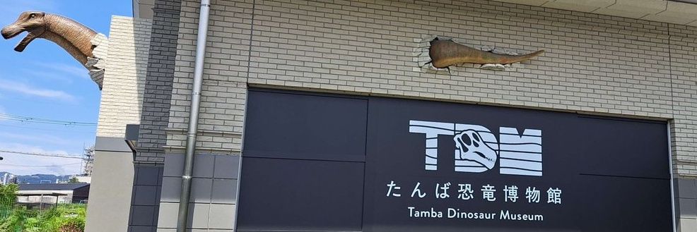 たんば恐竜博物館's banner