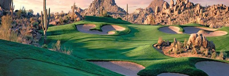 Run and Frolic banner