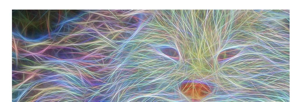 Surrealchereal's profile banner image