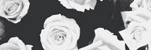 anagab7_'s profile banner image