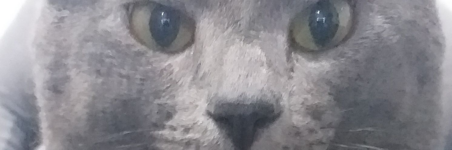 demi4556's profile banner image