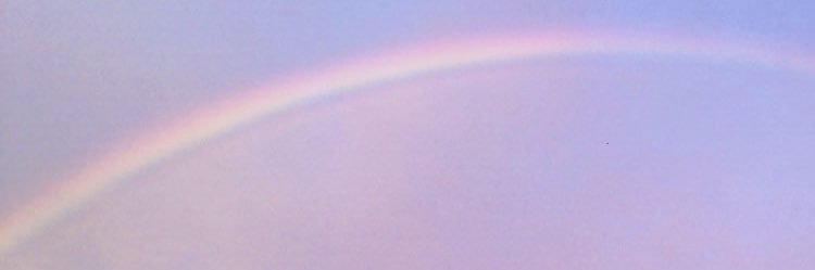 zzaahi's profile banner image