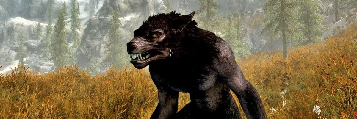 notequierona's profile banner image