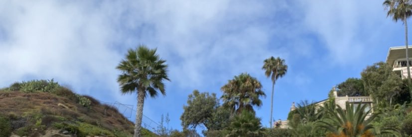 ambersaxonn_'s profile banner image