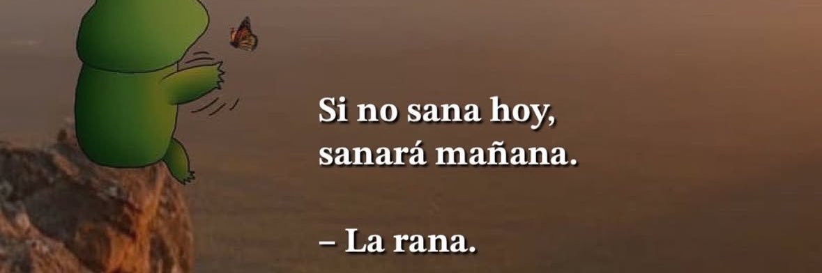 msbossladyd.eth🇵🇷 banner