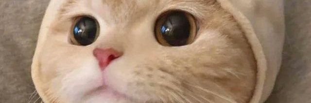 Yellow guysㅣⓂ️Ⓜ️T banner