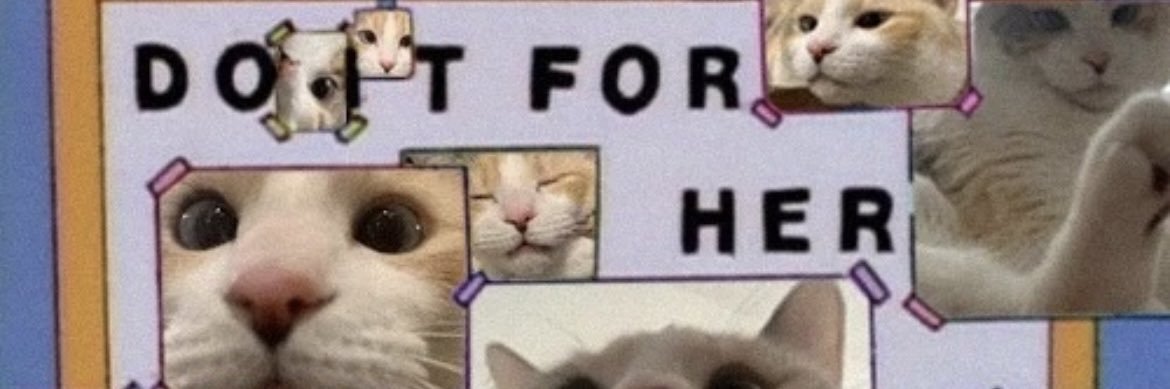 Panko A. Cat’s Mom's banner