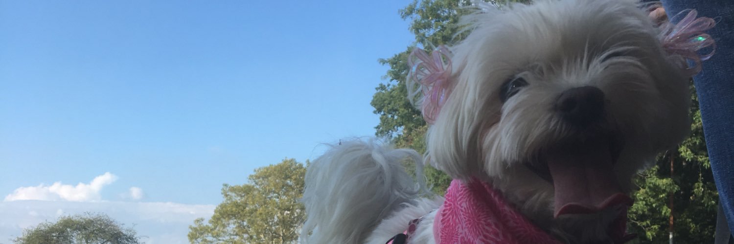 signe823's profile banner image