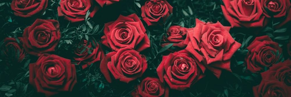 Ktalina_Gomez's profile banner image