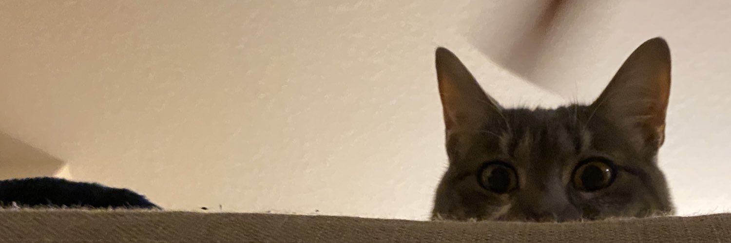 robert pattinsons batman batinson banner