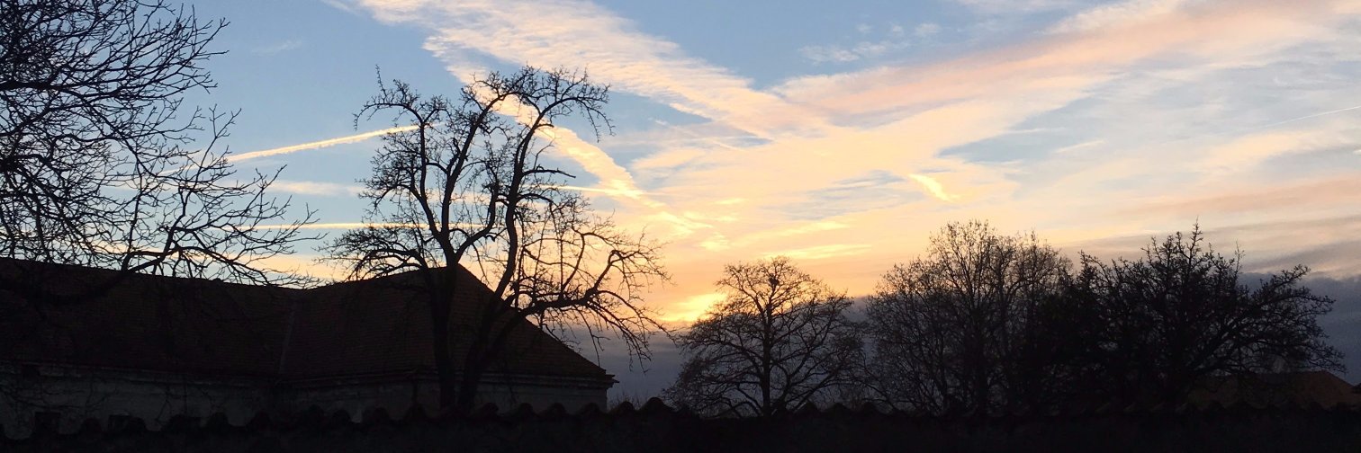 ぎっくり腰太郎 banner