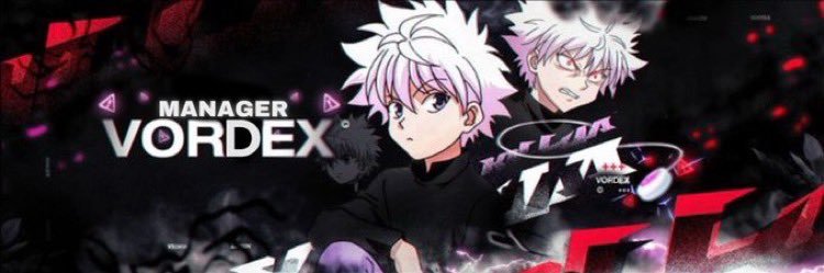 vordex banner