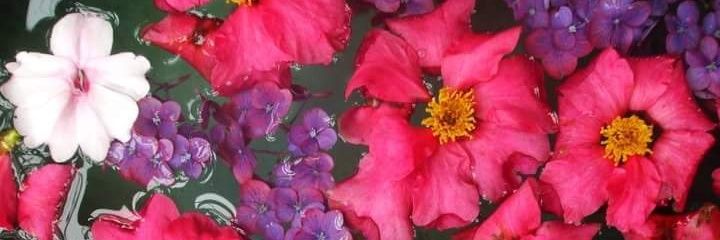 pinuppickspenup's profile banner image