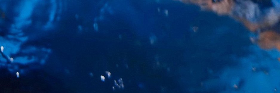 아리 banner