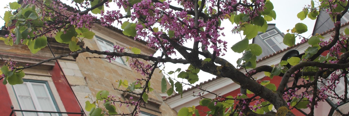 SoederKomm's profile banner image