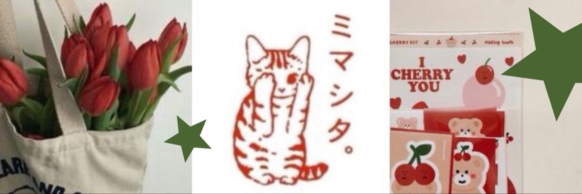 shie banner
