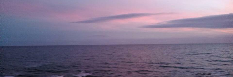 mariamrtinez19's profile banner image