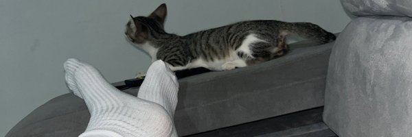 FaruqueBR Profile Banner