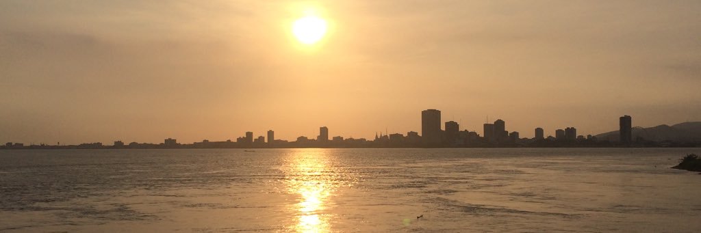 Milena S. banner