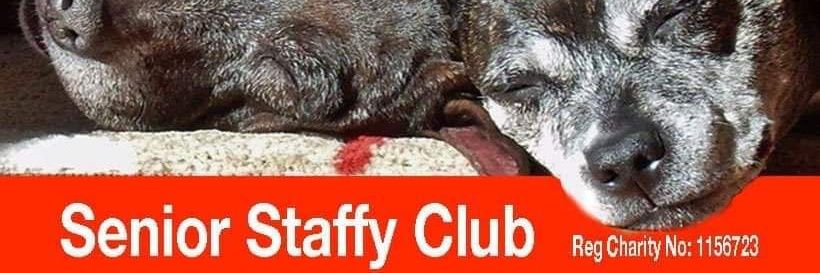 Senior Staffy Club Dog Rescue's banner