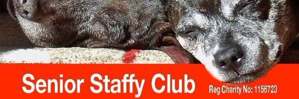 Senior Staffy Club Dog Rescue Profile Banner