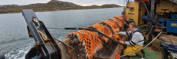 MarineBio_Blair Profile Banner