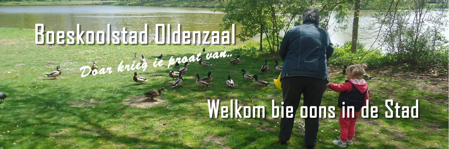 #boeskoolstad banner