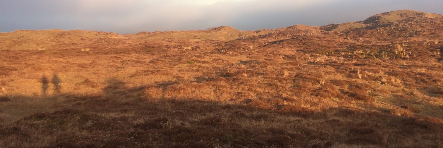manonstemerdink's profile banner image