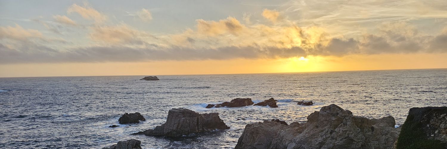 whitney4tx's profile banner image