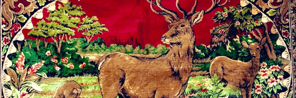 kaanrahim06's profile banner image