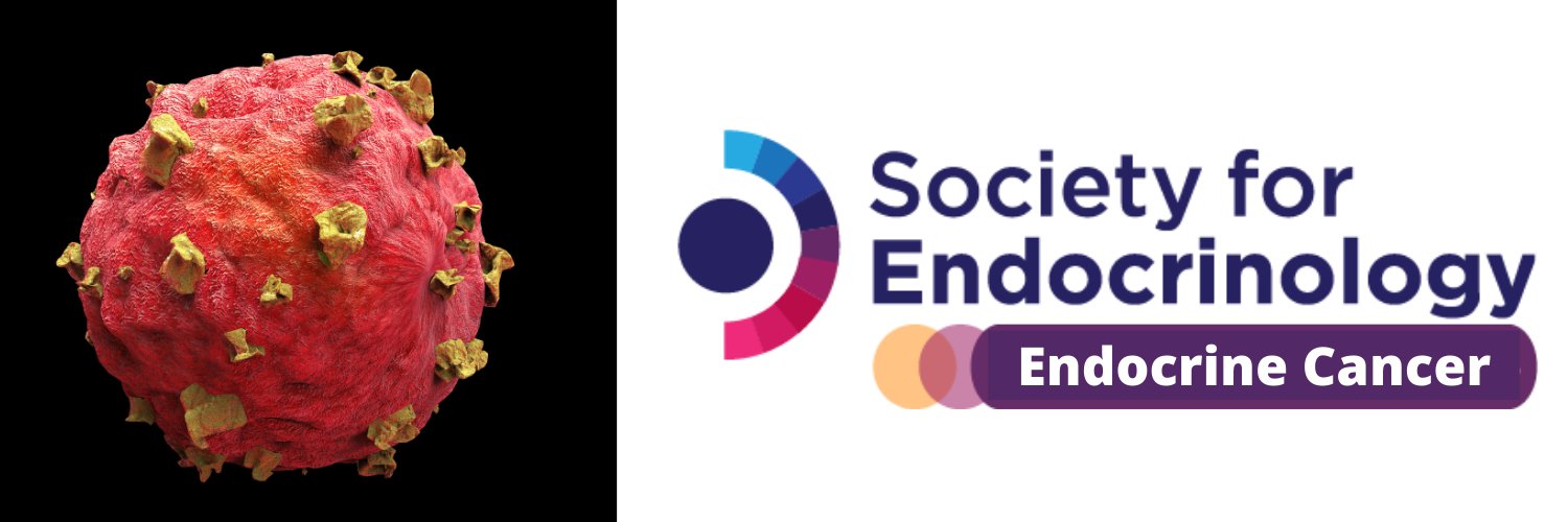 Endocrine Cancer Network banner