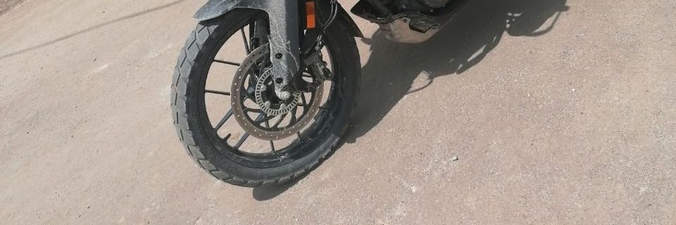 Optimus Dimes banner