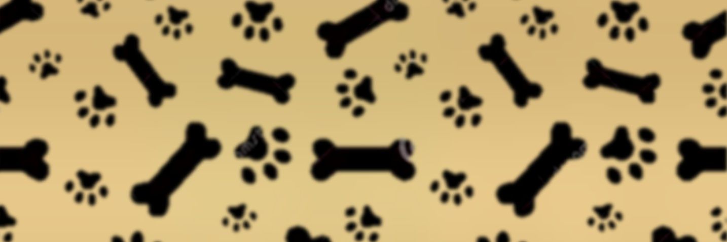 Spix02's profile banner image