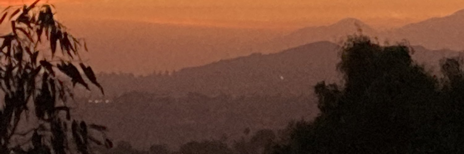 LARams101's profile banner image