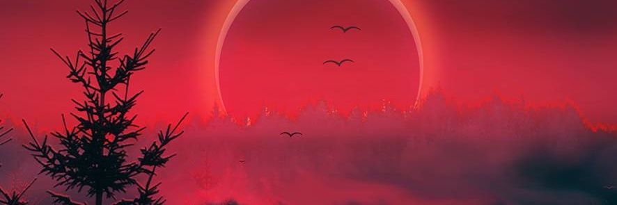 Chris_ST10's profile banner image