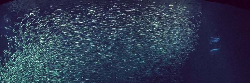 notavgnerd's profile banner image
