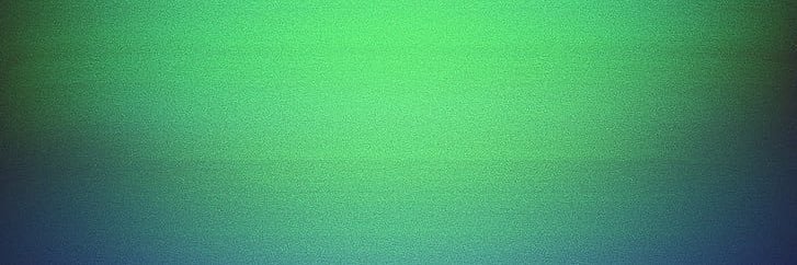 Elsstarr banner