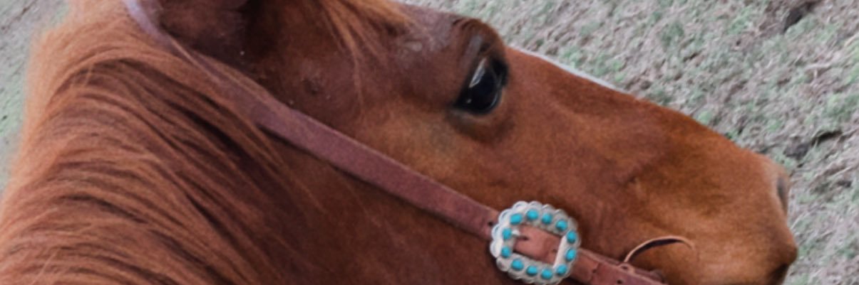 sydneybaston's profile banner image
