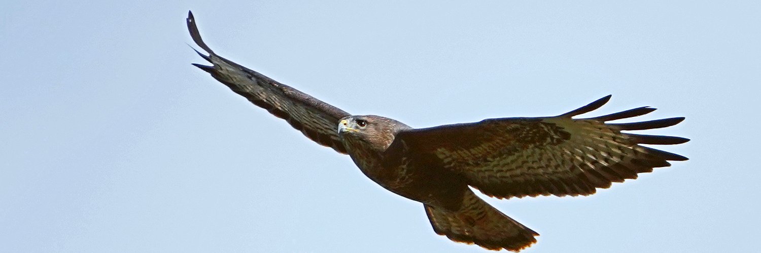 Sam H Ahmedzai banner