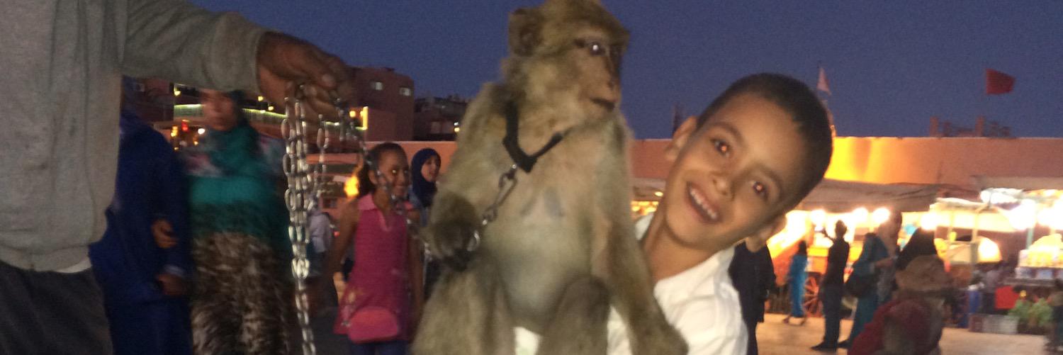 el_mazaz's profile banner image